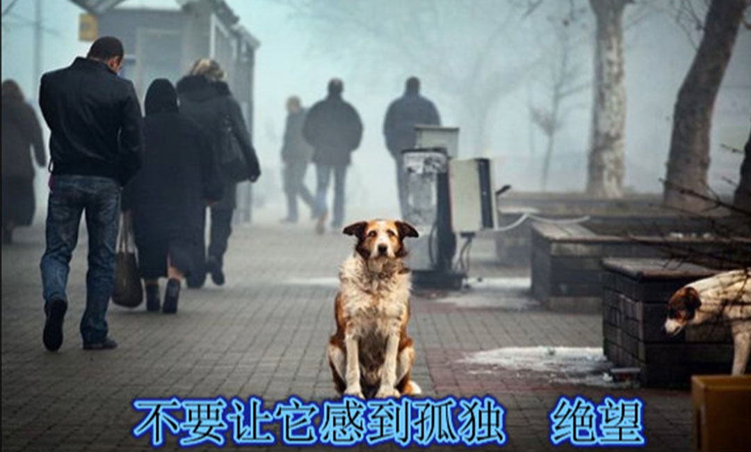 南京南京爱影圈微博微信转发案例